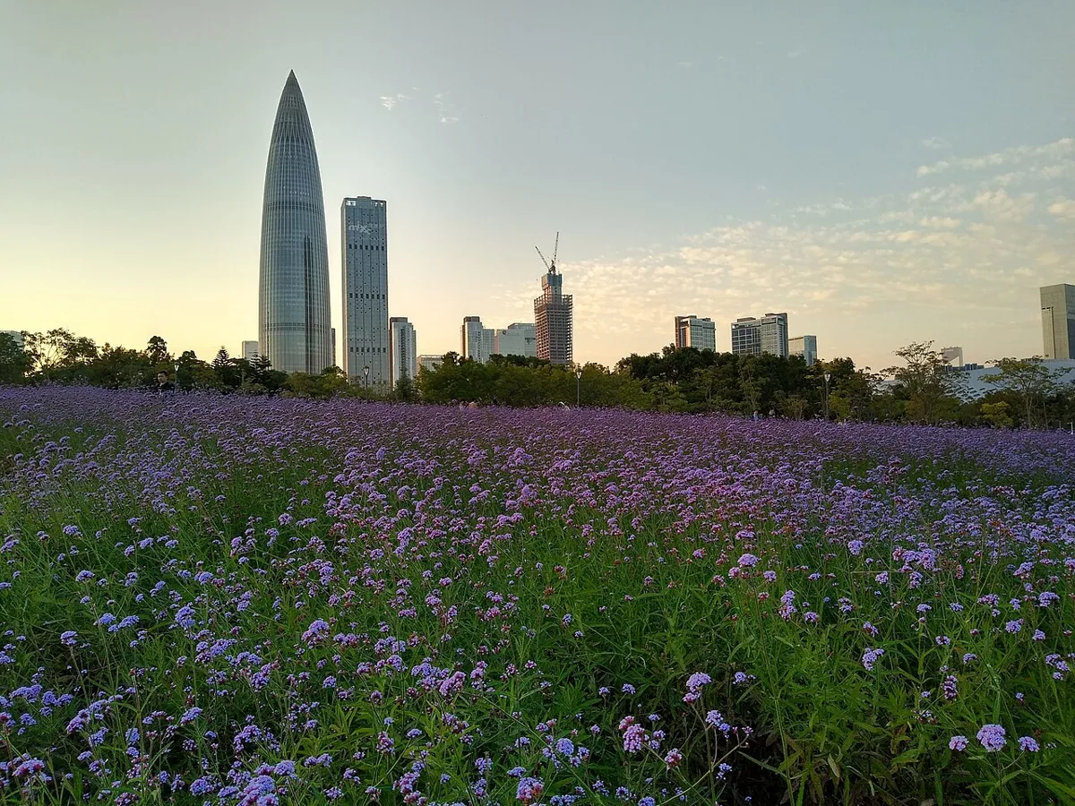 深圳灣公園